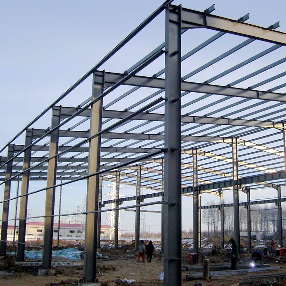 Dutch Metal Single Storey Warehouse Building